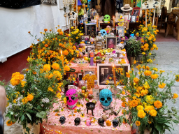 IMG_20251031_123041134_HDR