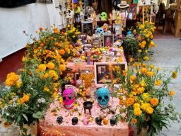 IMG_20251031_123042484_HDR