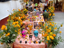 IMG_20251031_123044210