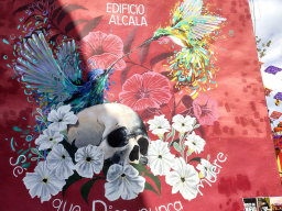 IMG_20251031_135552177_HDR