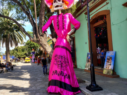 IMG_20251031_140053335_HDR