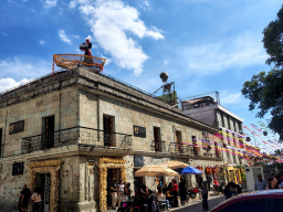 IMG_20251031_142245268_HDR