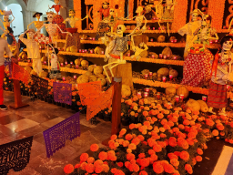 IMG_20251031_192129942_HDR