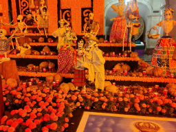 IMG_20251031_192132825_HDR