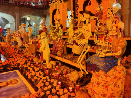 IMG_20251031_193402033_HDR