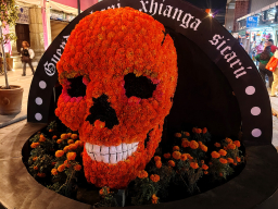 IMG_20251031_211102283_HDR