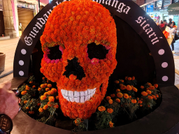 IMG_20251031_211106251_HDR