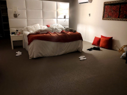 IMG_20251031_224421266_HDR