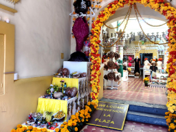 IMG_20251101_102657521_HDR