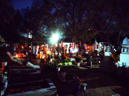 IMG_20251101_183645604_BURST000_COVER