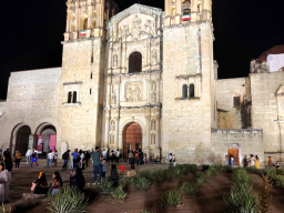 IMG_20251101_193610478_HDR