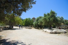 IMG_9011