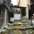 IMG_6186