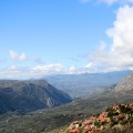 IMG_6223