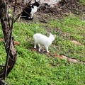 IMG_6313