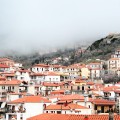IMG_6369