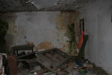 IMG_5741