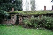 IMG_5747