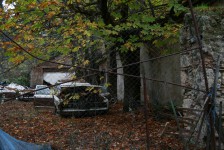 IMG_5786
