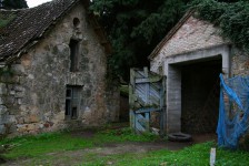 IMG_5788
