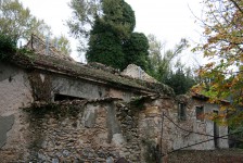 IMG_5804
