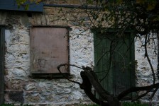 IMG_5859