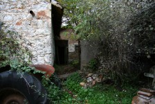 IMG_5871