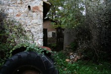 Tatoi