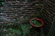 IMG_5901