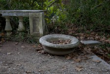 IMG_6626