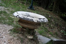 IMG_6638