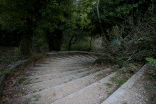 IMG_6641