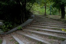 IMG_6645