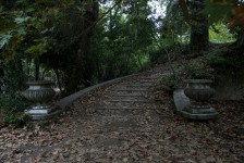 IMG_6648