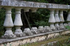 IMG_6661