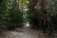 IMG_6663