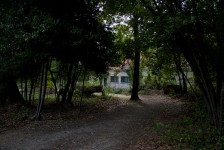 IMG_6684