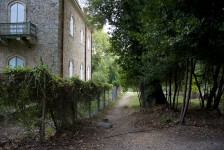 IMG_6686