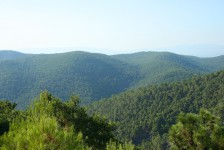 IMG_3746