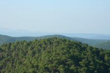 IMG_3761