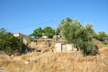 IMG_3787