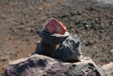 IMG_1904