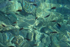 IMG_1963