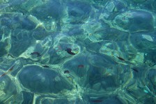 IMG_1964