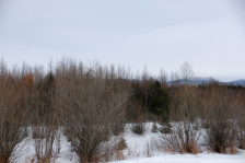 DSCF0019