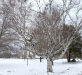 DSCF0202