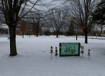 DSCF0207