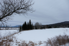 DSCF0264