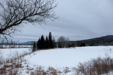 DSCF0267