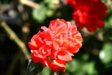 File0124